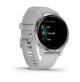 Venu 2S - Silver Stainless Steel Bezel With Mist Gray Case and Silicone Band - 010-02429-12 - Garmin